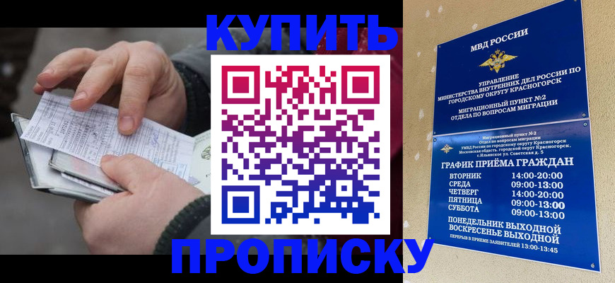временная регистрация недорого в Котельниках